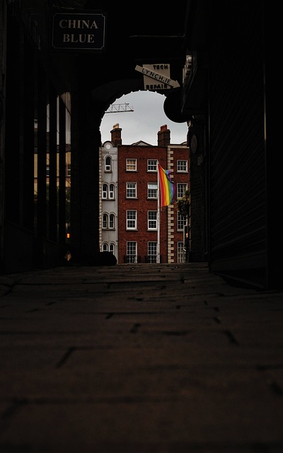 dublin commercial removals