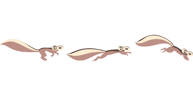 movers-moving-640x480-14070074.png