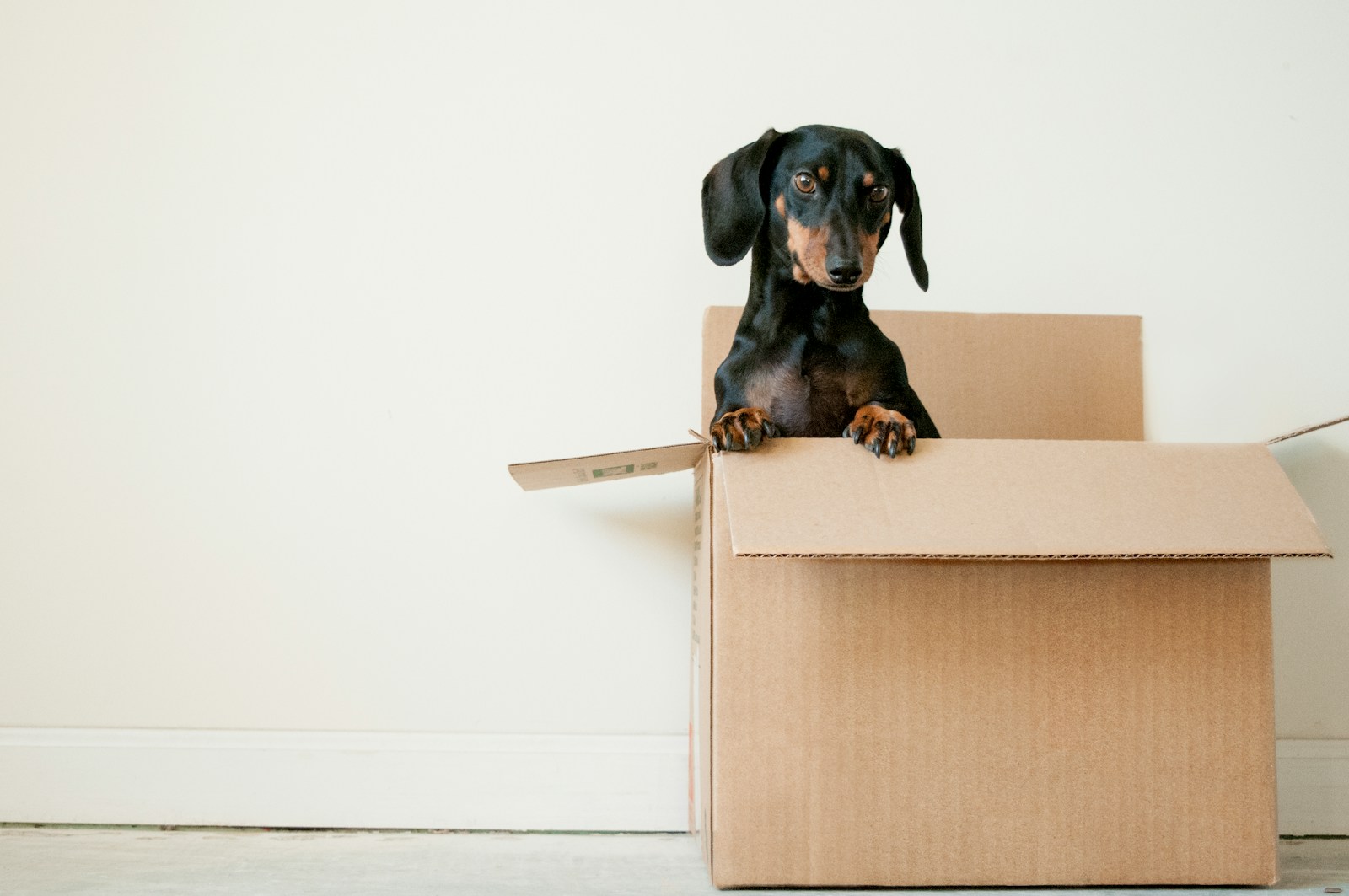Maximizing Space for Long-Term Storage: Top Ireland Moving Services for Households &amp; Pianos