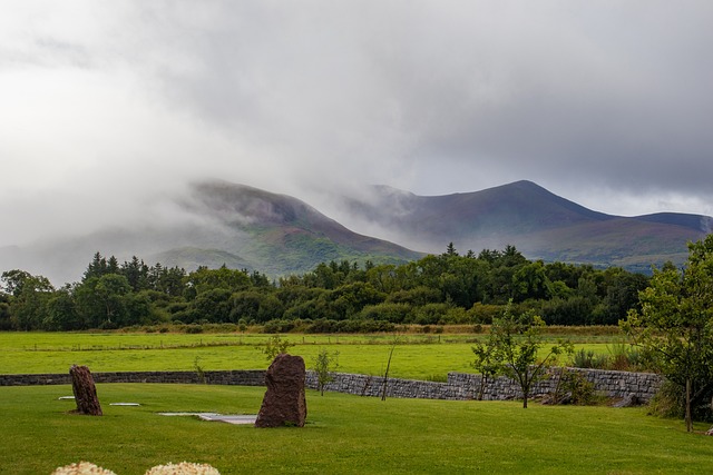Moving Company Ireland to UK