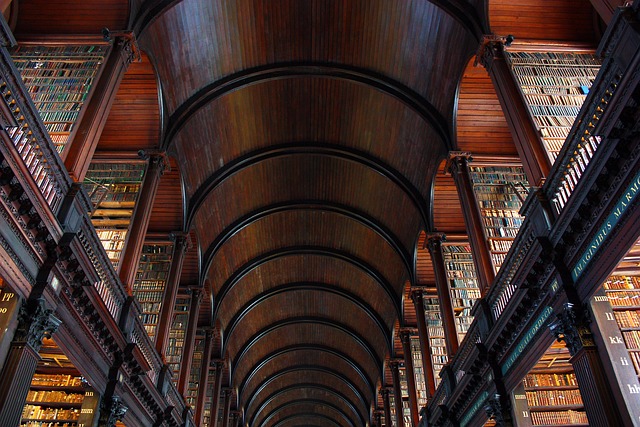 weekend movers dublin