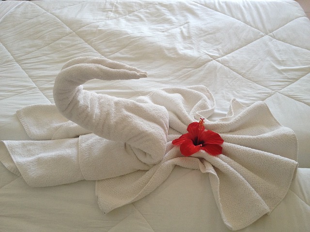 bed disposal service dublin
