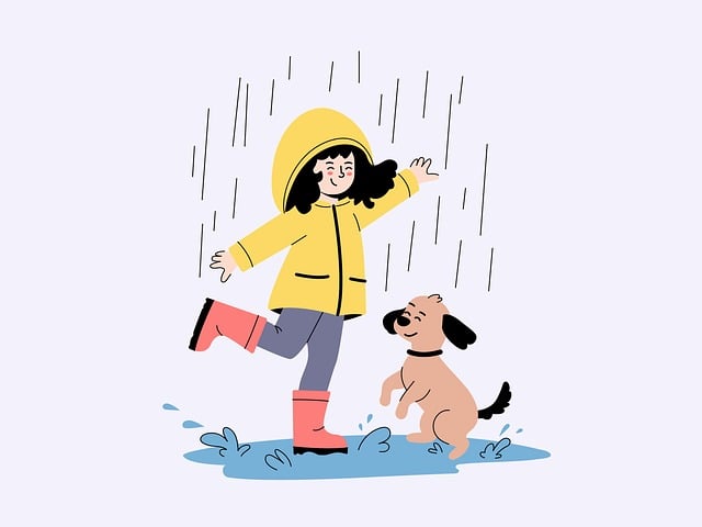 best moving company dublin