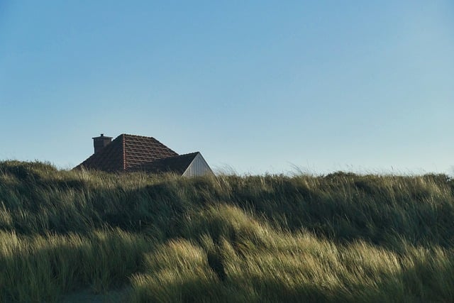 house movers dublin