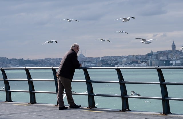 Man with a Van Lucan
