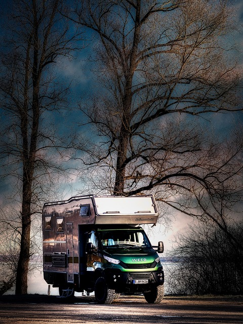 Man with a Van Lucan