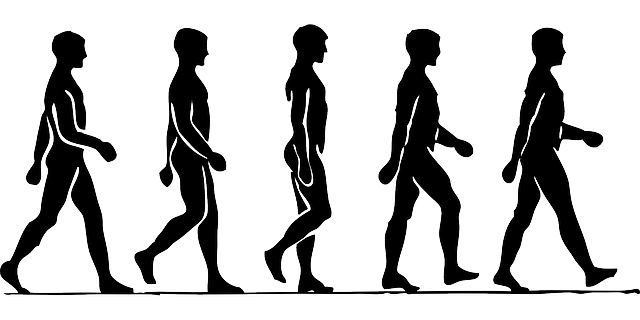 movers-moving-640x480-81529490.png