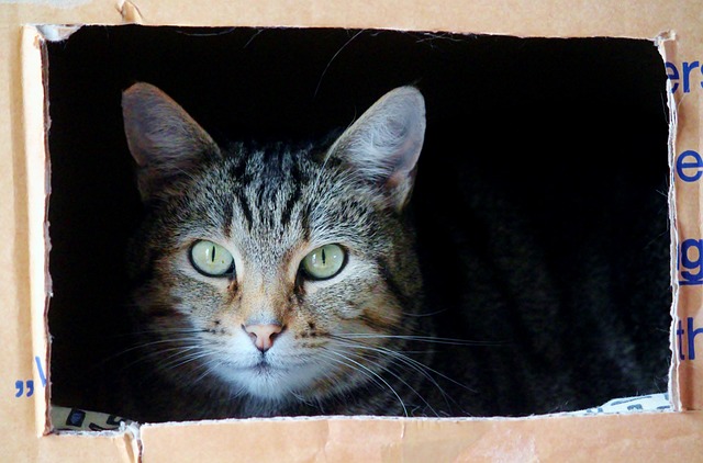 Movers, moving