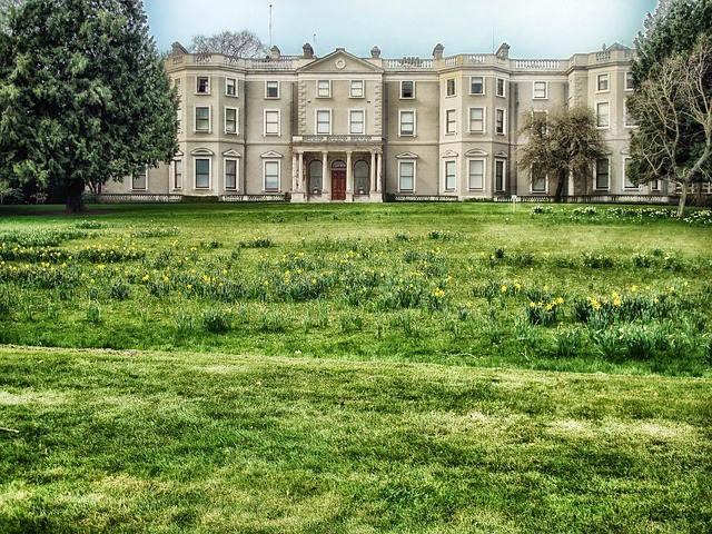 Moving Company Blackrock Dublin 4