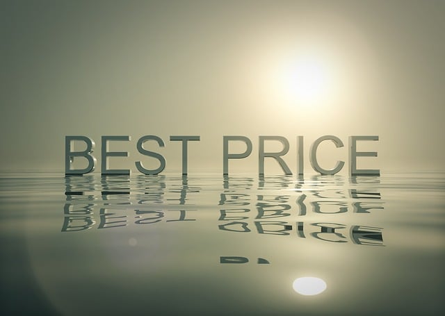 moving company dublin price