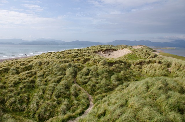 Moving Company Ireland to Australia