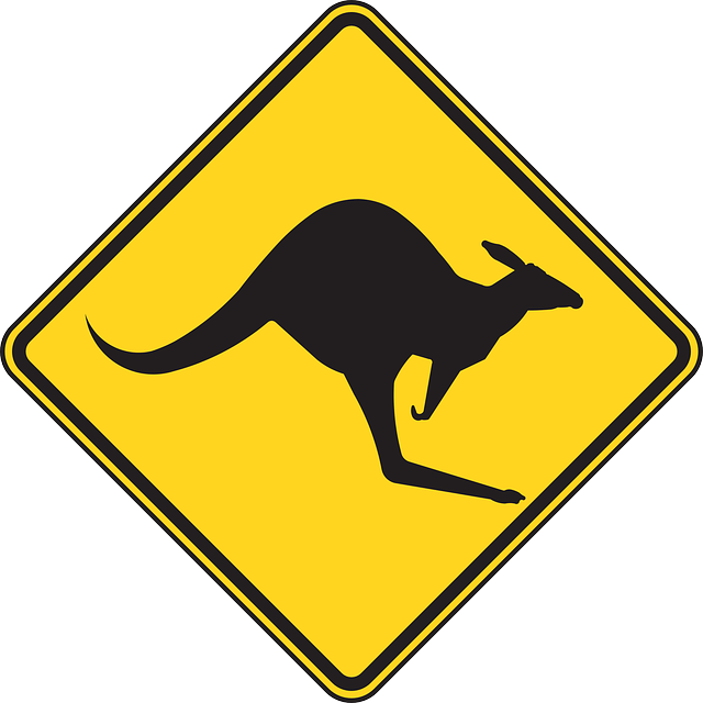 Moving Company Ireland to Australia