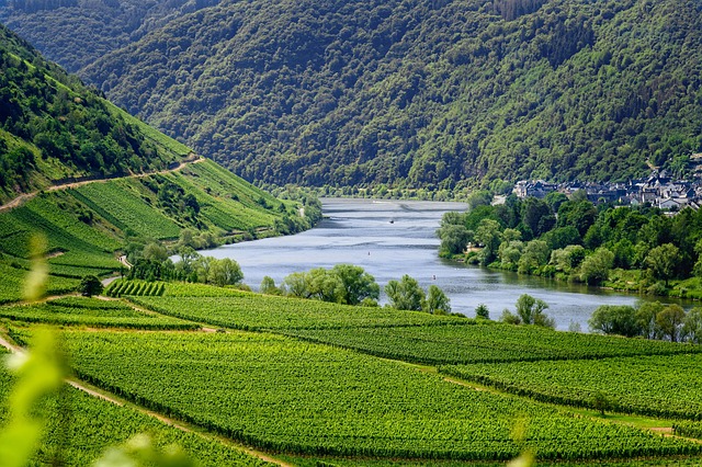 Moving Company Ireland to Germany
