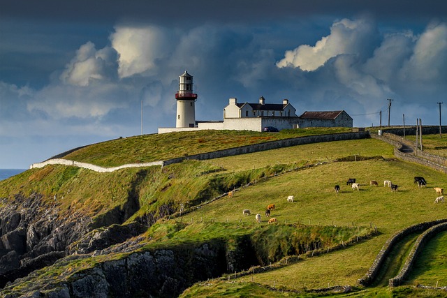 Moving Company Ireland to Germany