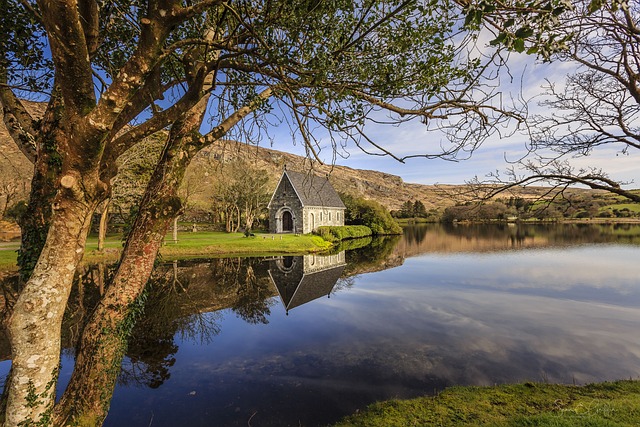 Moving Company Ireland to Germany