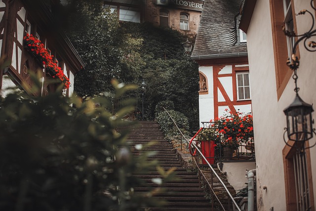 Moving Company Ireland to Germany