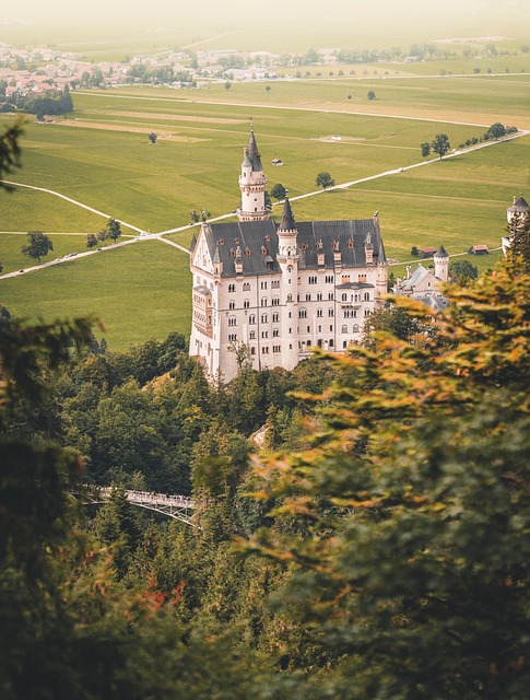Moving Company Ireland to Germany