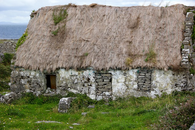 Moving Company Ireland to Spain
