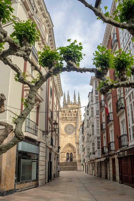 Moving Company Ireland to Spain
