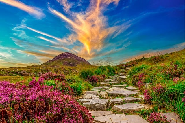 Moving Company Ireland to UK