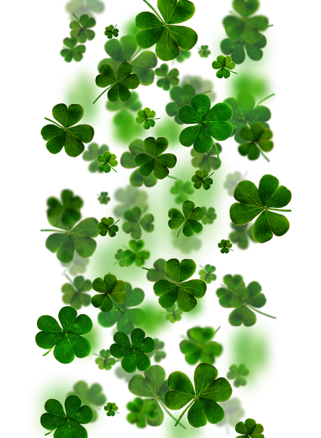 Moving Company Ireland to UK