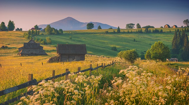 Moving Company Ireland to UK