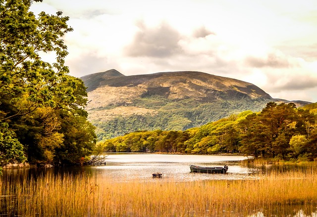 Moving Company Ireland to UK