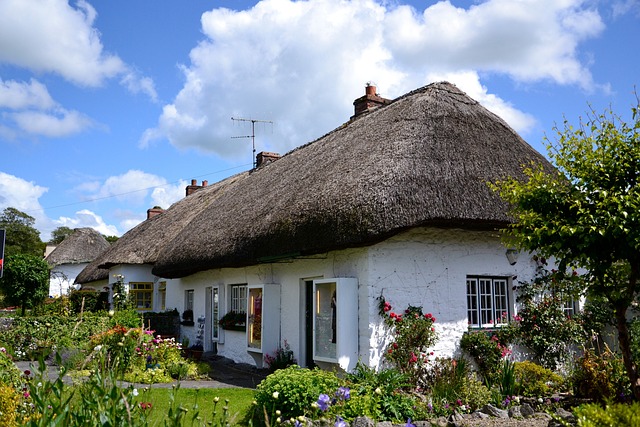 Moving Company Ireland to USA