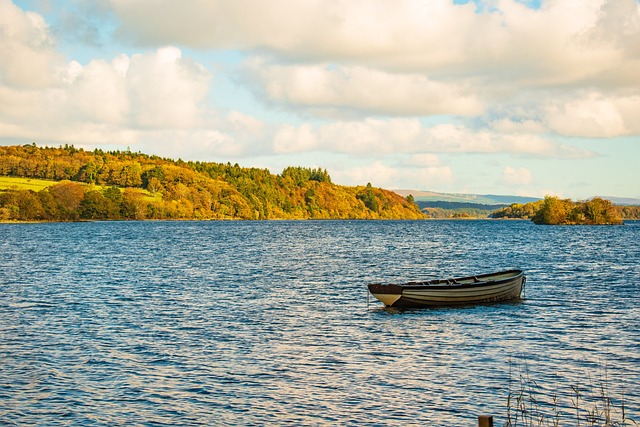 Moving Company Ireland to USA