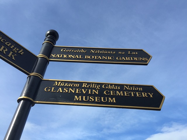 Moving Company Raheny Dublin 5