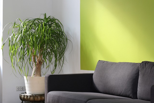 Sofa Removal Dublin