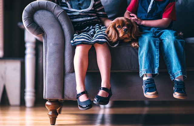 Sofa Removal Dublin