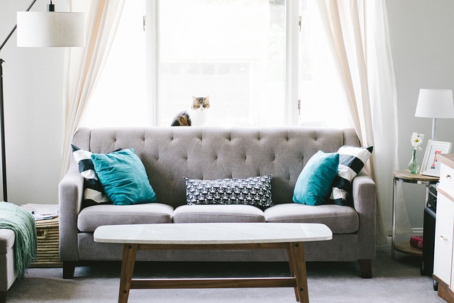sofa removal near me