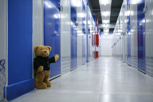 storage and moving dublin