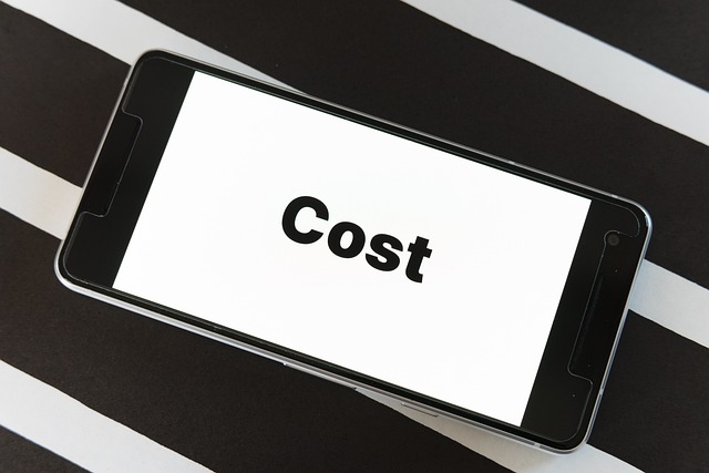 storage dublin prices