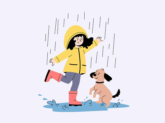 best moving company dublin