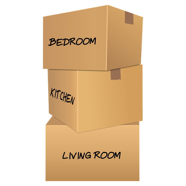 best moving company dublin