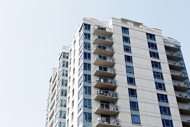 cheap apartment movers dublin