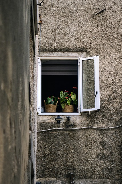 house movers dublin