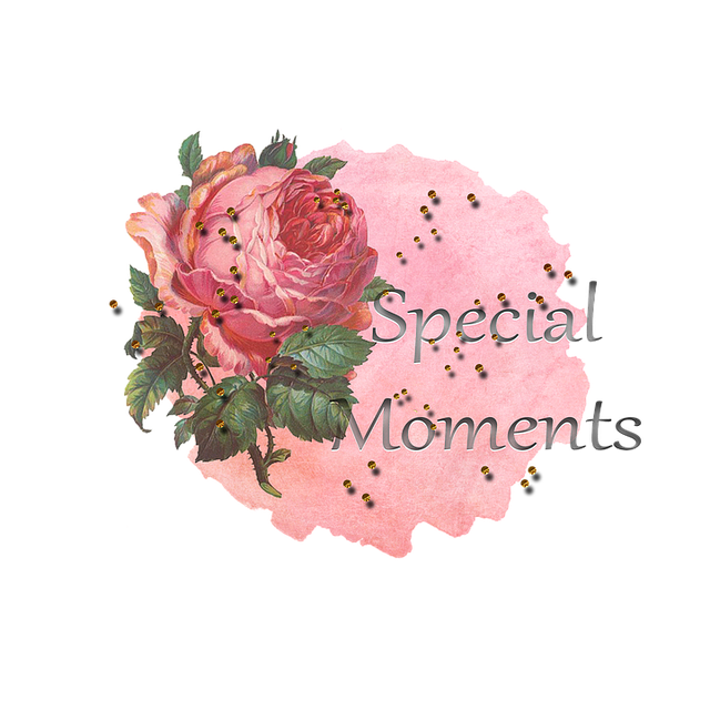 house movers quote dublin