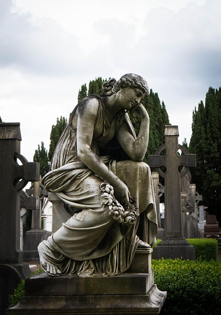 Moving Company Cherrywood Dublin 18