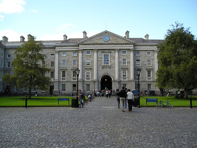 Moving Company Dublin 3