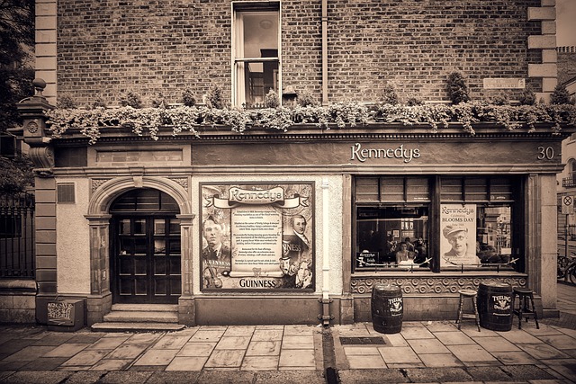 Moving Company Dublin 3