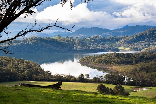 Moving Company Ireland to Australia