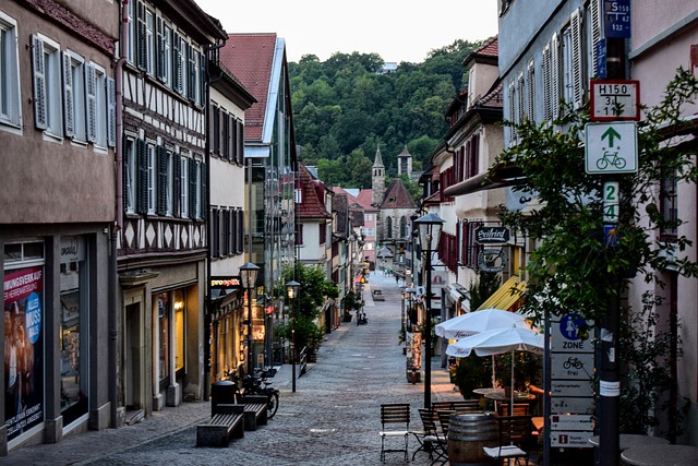Moving Company Ireland to Germany