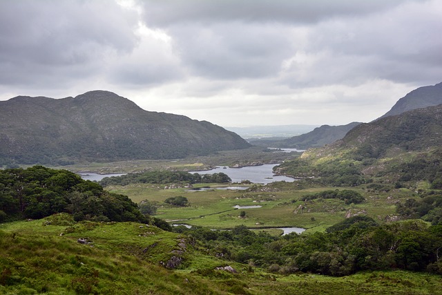 Moving Company Ireland to Germany