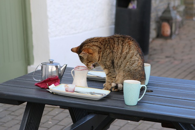 Moving Company Ireland to Spain