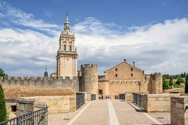 Moving Company Ireland to Spain