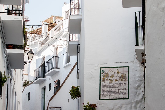 Moving Company Ireland to Spain