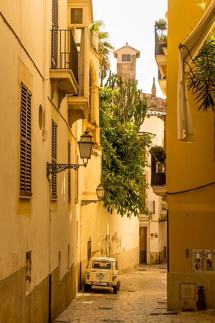 Moving Company Ireland to Spain